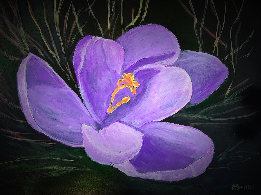 Crocus Flower Painting by Anne Sands