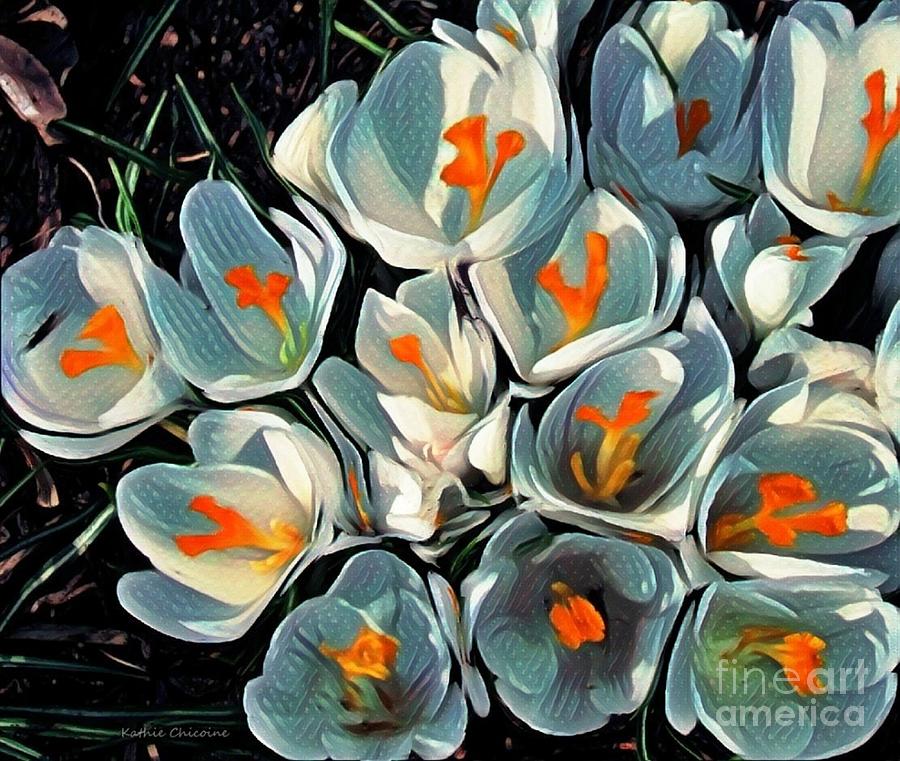Crocus in the Shadows Photograph by Kathie Chicoine