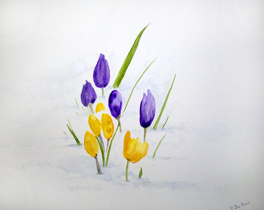 Flowers Painting - Crocuses by Rachel Barlow Flowers Painting - Crocuses by Rachel Barlow