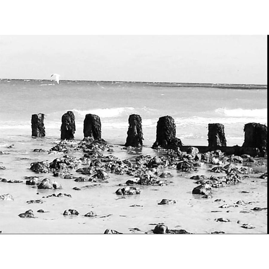Beach Photograph - Cromer, Norfolk 
#cromer #norfolk by Rebecca Bromwich