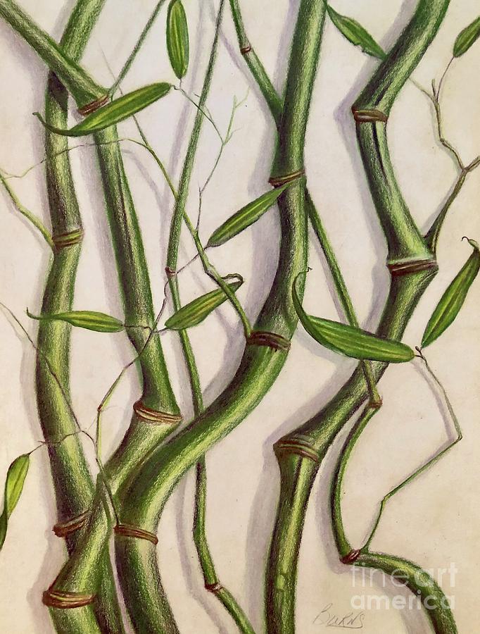 Crook Stem Bamboo Painting by Rand Burns