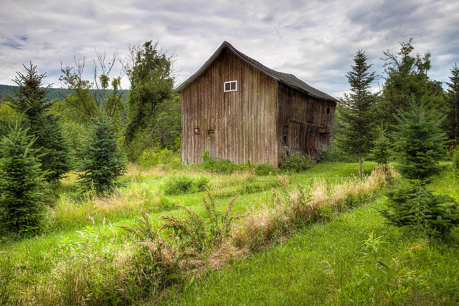 Barn Photograph - Crooked Old Barn on South 21 - Finger Lakes New York State by Gary Heller