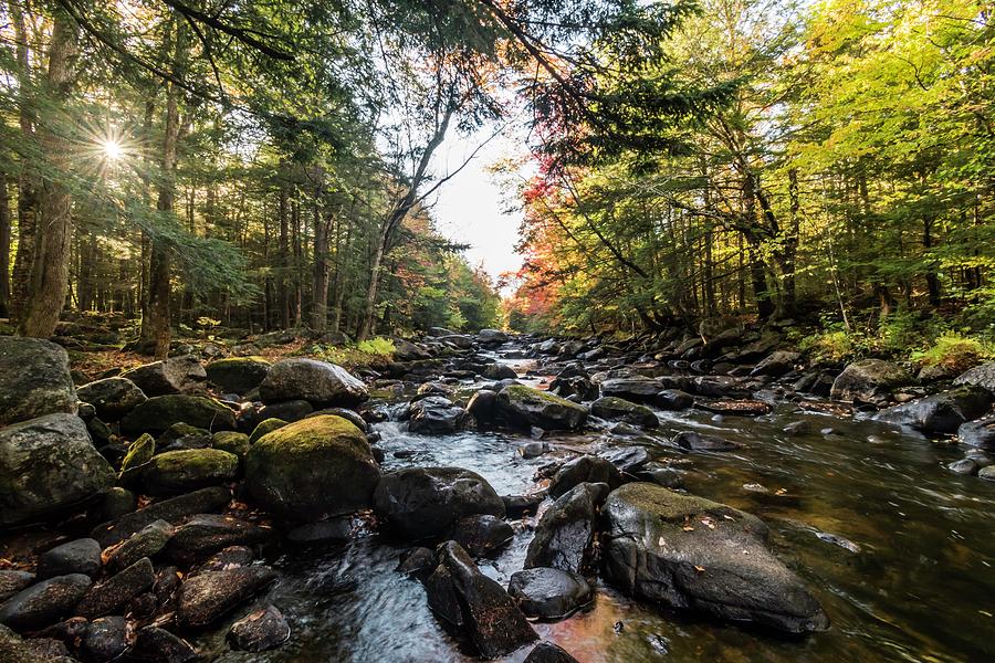 Crooked river maine Photograph by Dylan Brett Fine Art America