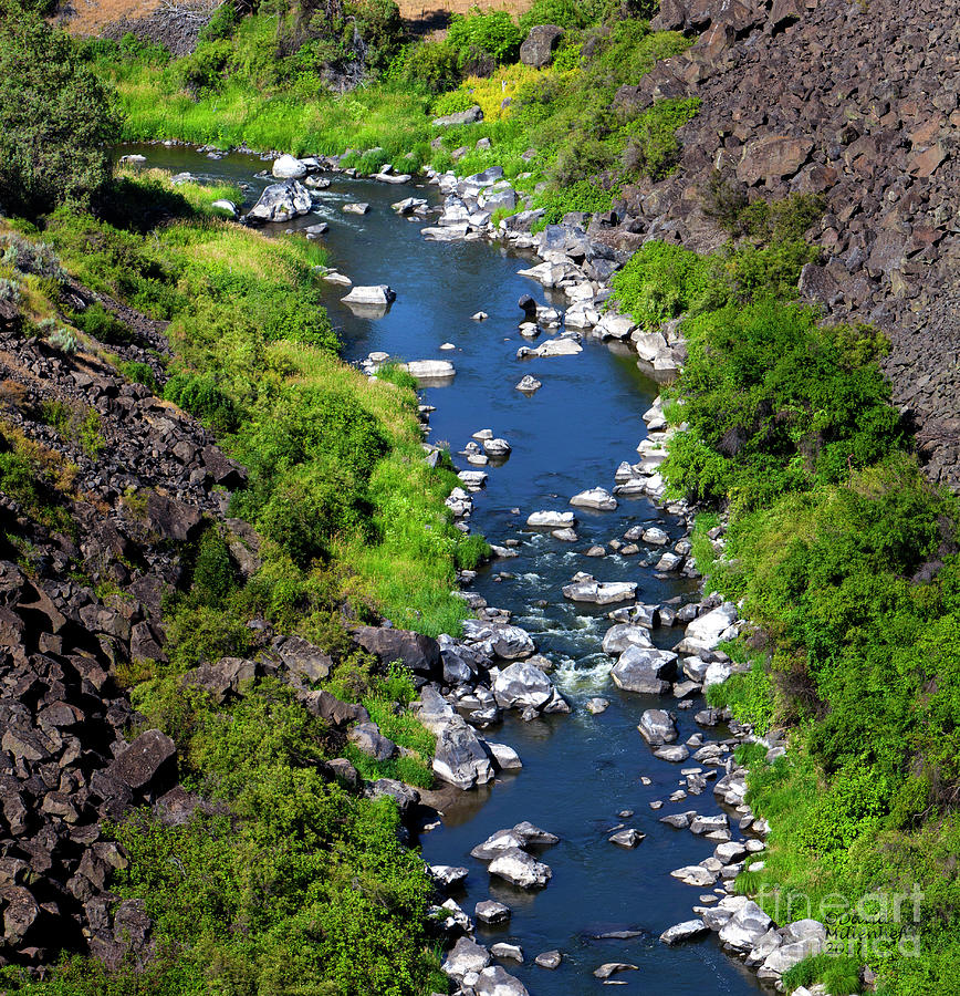 Crooked River Oregon Photograph by David Millenheft