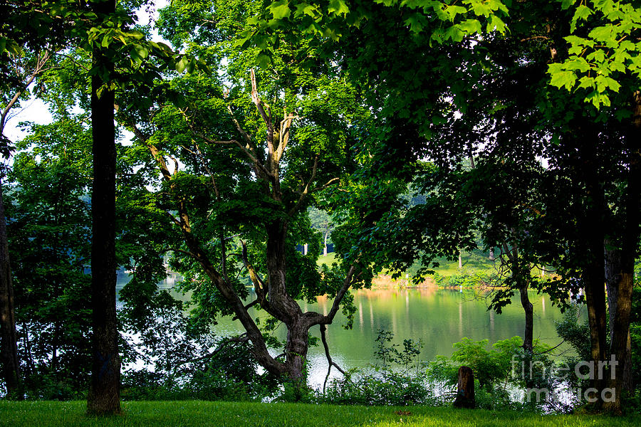 Crooked Tree Lake Photograph by Doug Daniels - Fine Art America