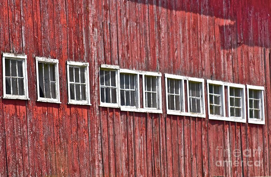 Crooked Windows Photograph by Tracy Rice Frame Of Mind