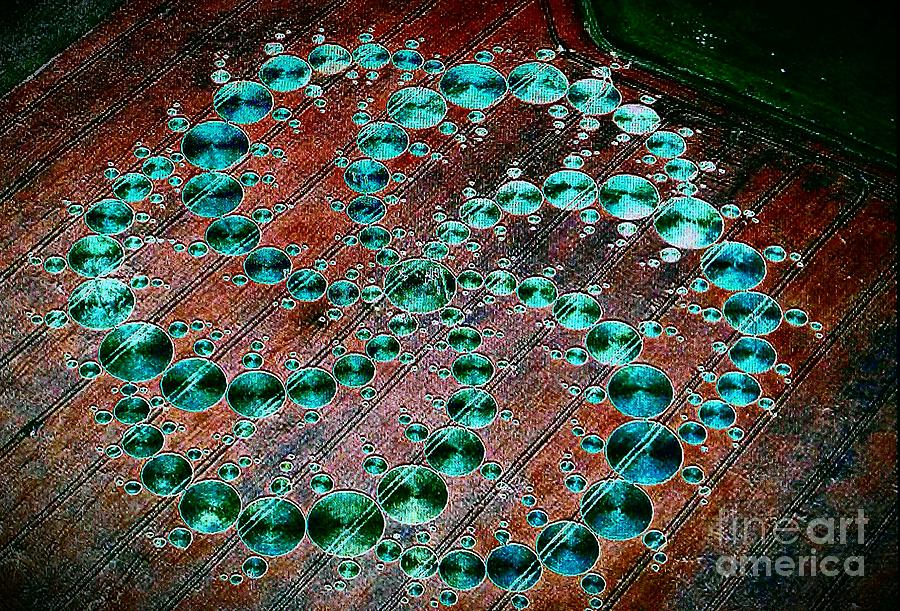 Abstract Photograph - Crop Circles by Jacqueline McReynolds