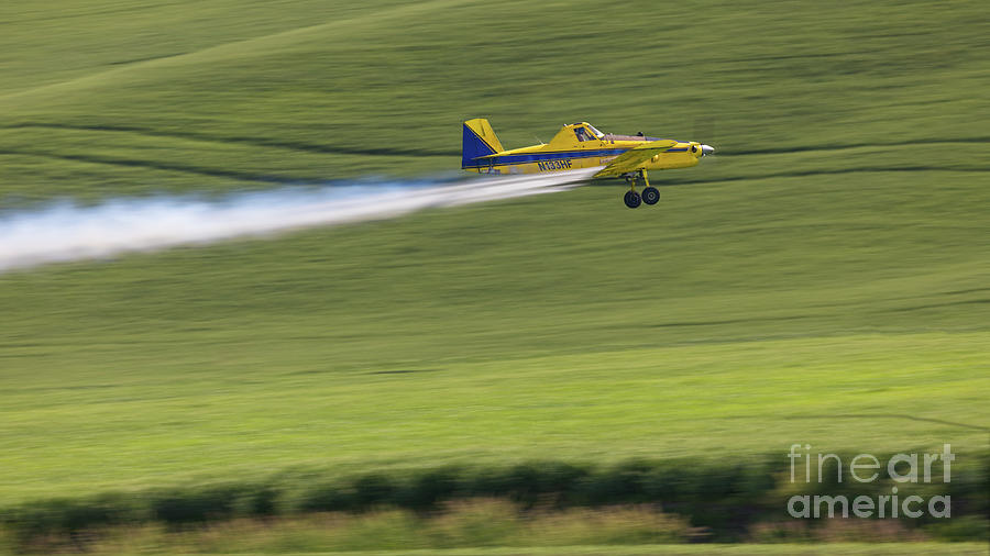 Crop Duster  Photograph by Jerry Fornarotto