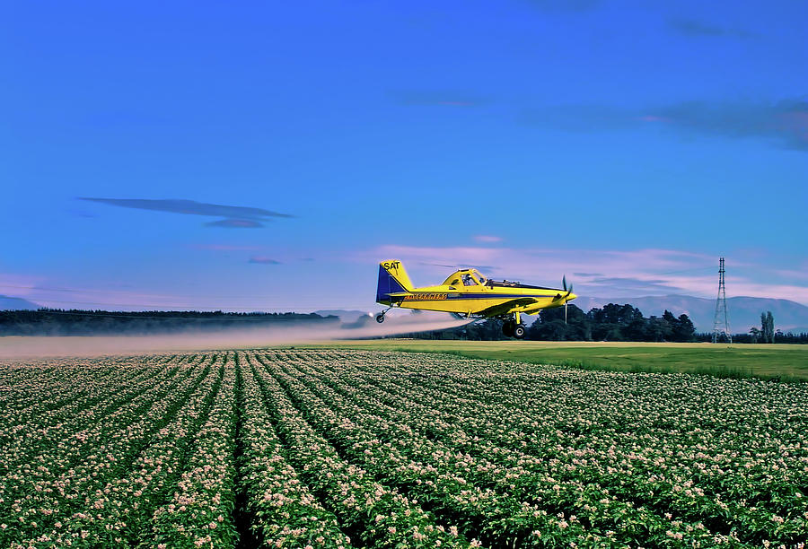 Crop Duster Photograph by Mountain Dreams