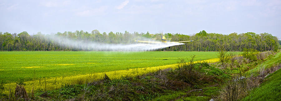 Spring Photograph - Crop Dusting by Norma Brock