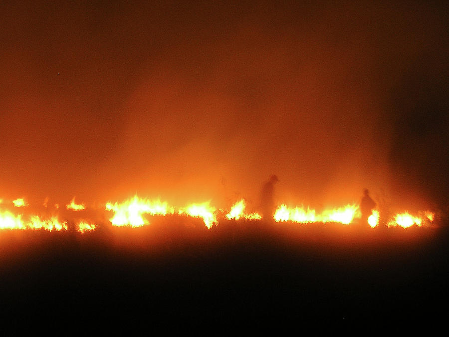 Crop Fire Photograph by Julian Bowdern | Fine Art America