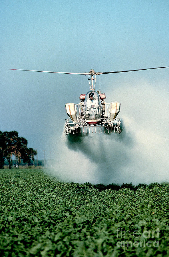 Cropdusting Photograph by Inga Spence