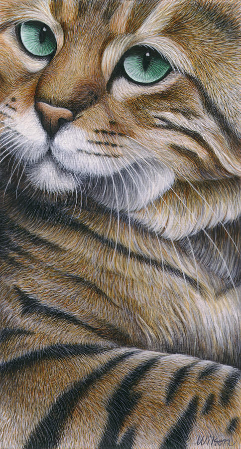Cat Painting - Cropped Cat 6 by Carol Wilson