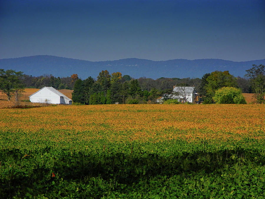 Crops Along the PA AT Photograph by Raymond Salani III