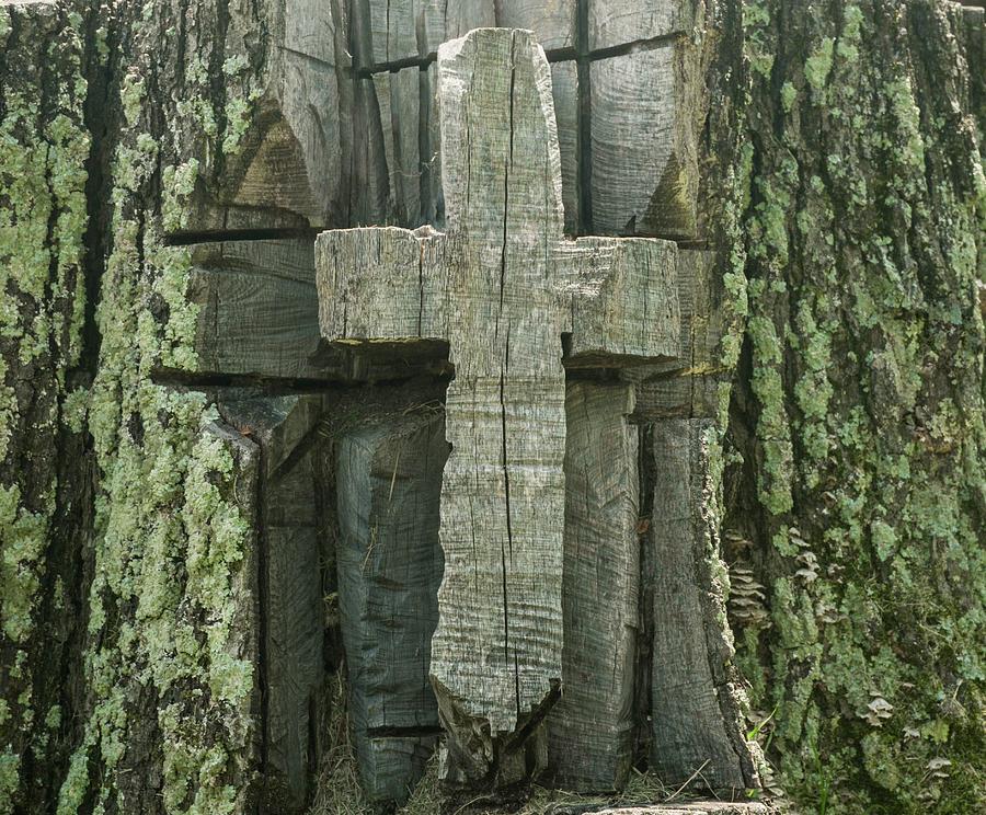 Cross Carved in Tree Photograph by Douglas Barnett