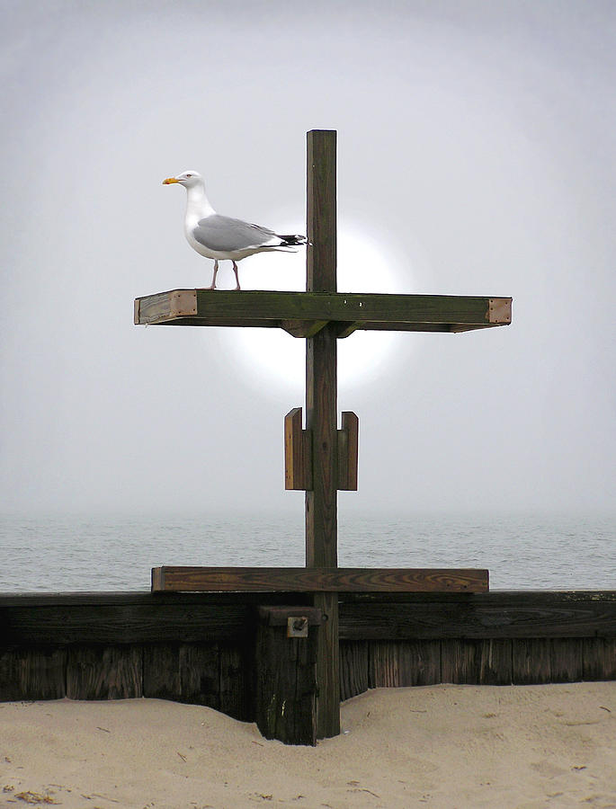Cross at West Dennis Beach Photograph by Charles Harden