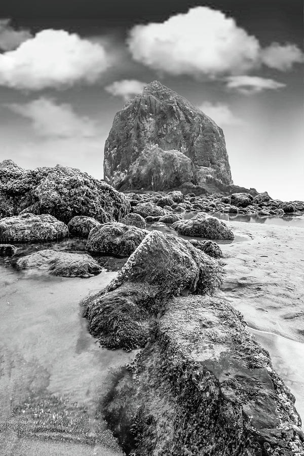 Cross of Cannon Beach Photograph by Scott Campbell