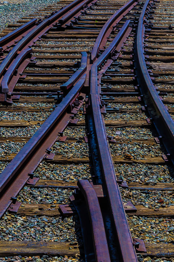 Cross Tracks Photograph by Garry Gay