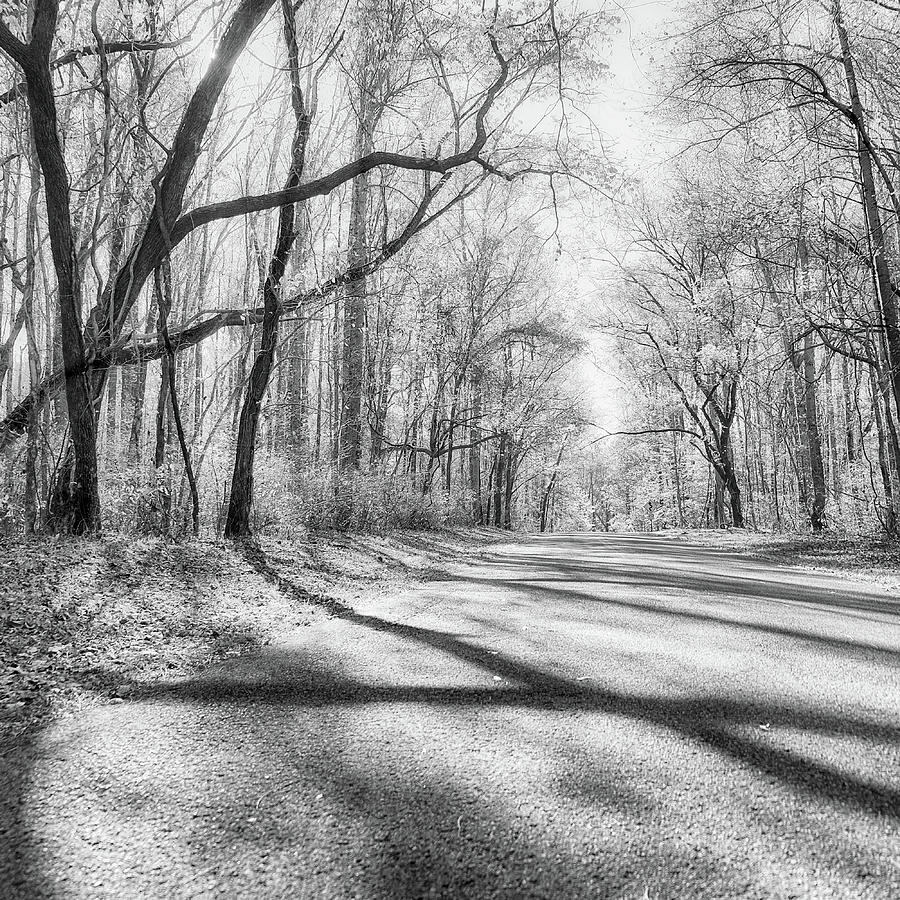 Crossed Shadows - Monochrome Photograph by Jon Woodhams