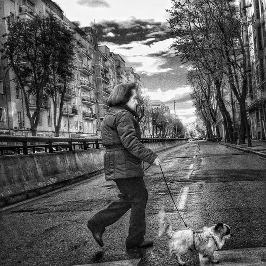 Animal Photograph - Crossers
#animal #dogsofinstagram #dog by Rafa Rivas