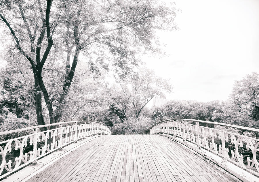 Central Park Photograph - Crossing Gothic by Jessica Jenney