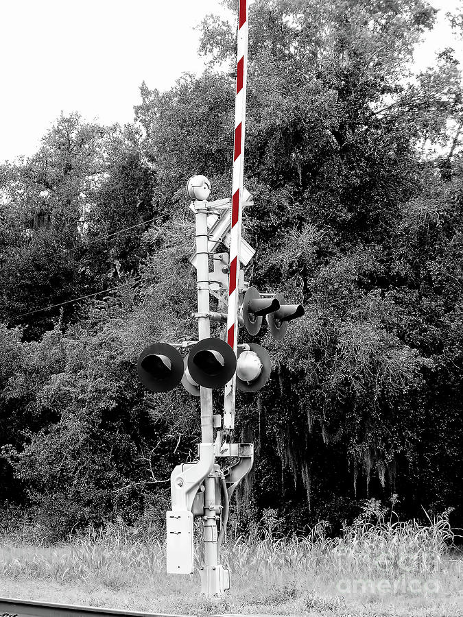 Crossing Signal Digital Art by D Hackett
