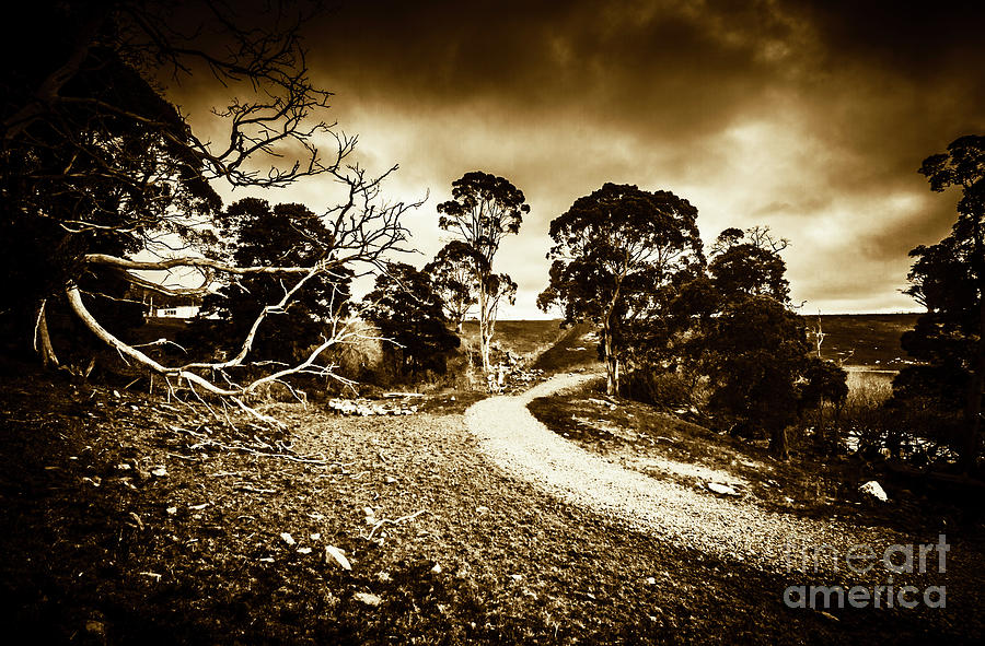 Nature Photograph - Crossing the bleak by Jorgo Photography