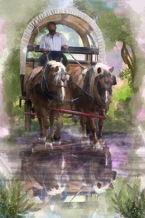 Horse Digital Art - Crossing the Creek by Mary Almond