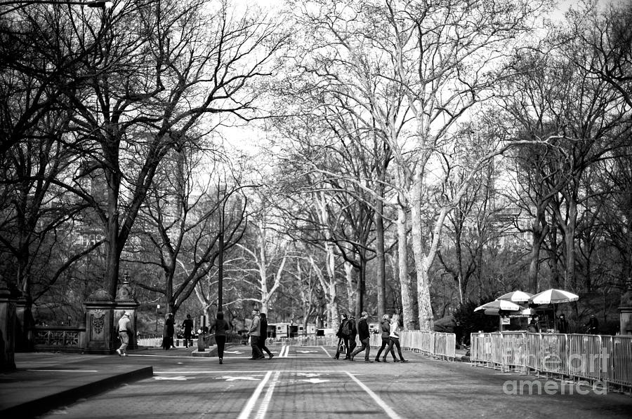 Crossing the Central Park Mall in New York City Photograph by John ...