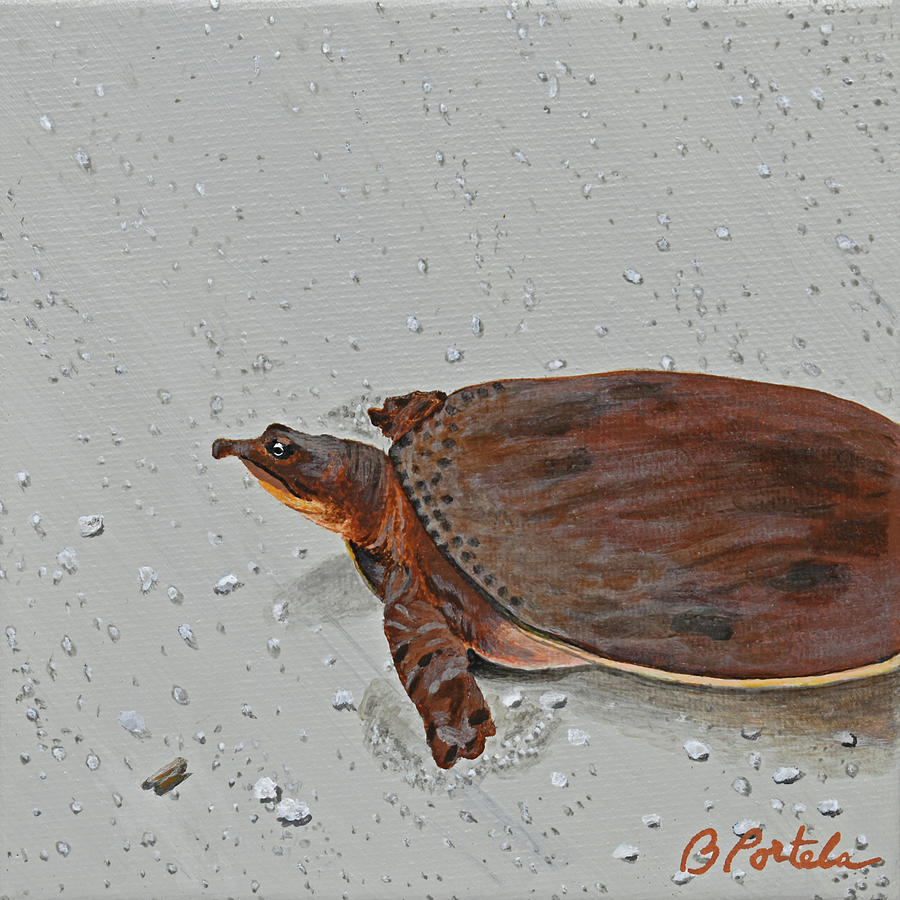 Turtle Crossing Painting