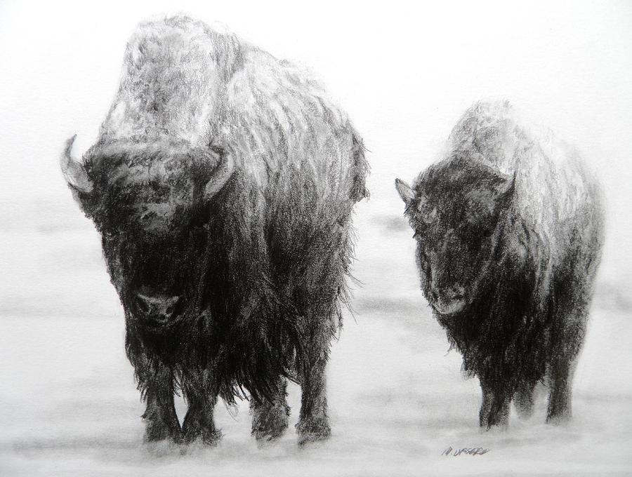Crossing Yellowstone Drawing by Meagan  Visser