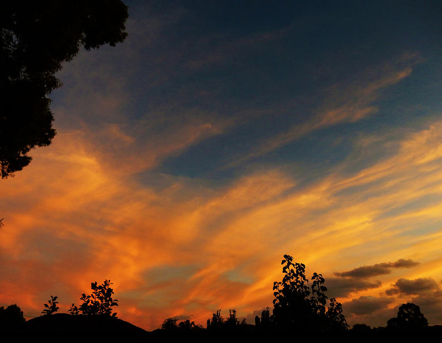 Crosswind Sunset Photograph by Mark Blauhoefer