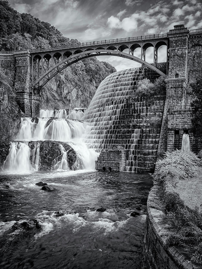 Tree Photograph - Croton dam and bridge - BW by Boris HD Photography