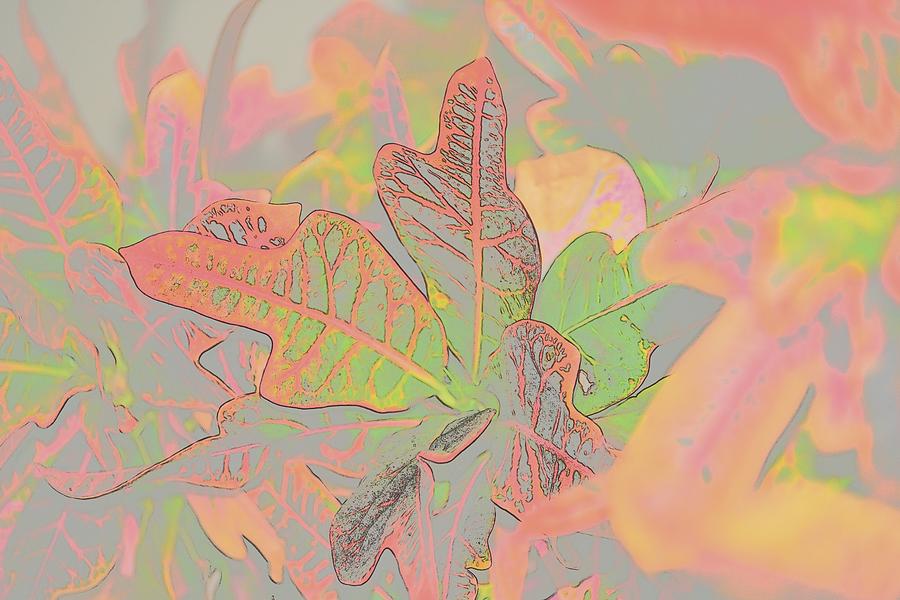 Croton Leaves I Pastel Digital Art by Linda Brody