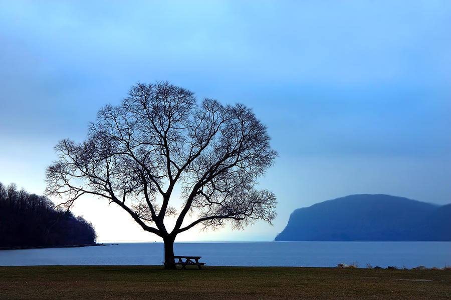 Nature Photograph - Croton On Hudson by June Marie Sobrito