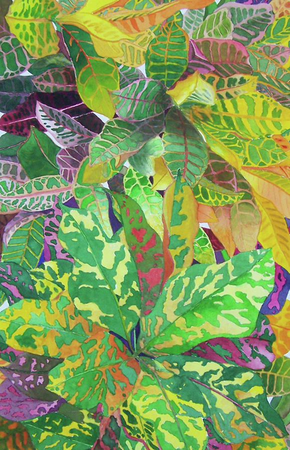 Crotonesque by Norman Freyer Crotonesque by Norman Freyer