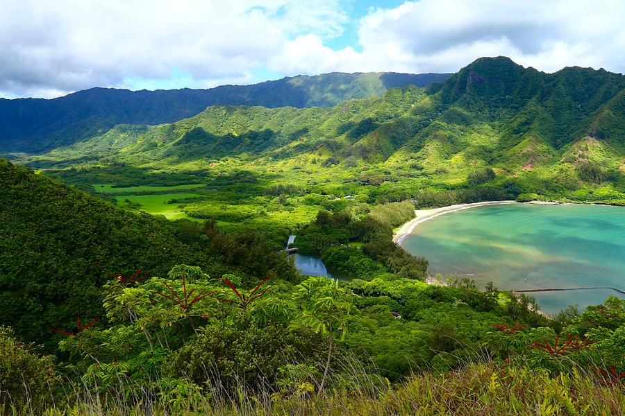 Crouching Lion Trail Photograph by Anastasia Barre - Fine Art America