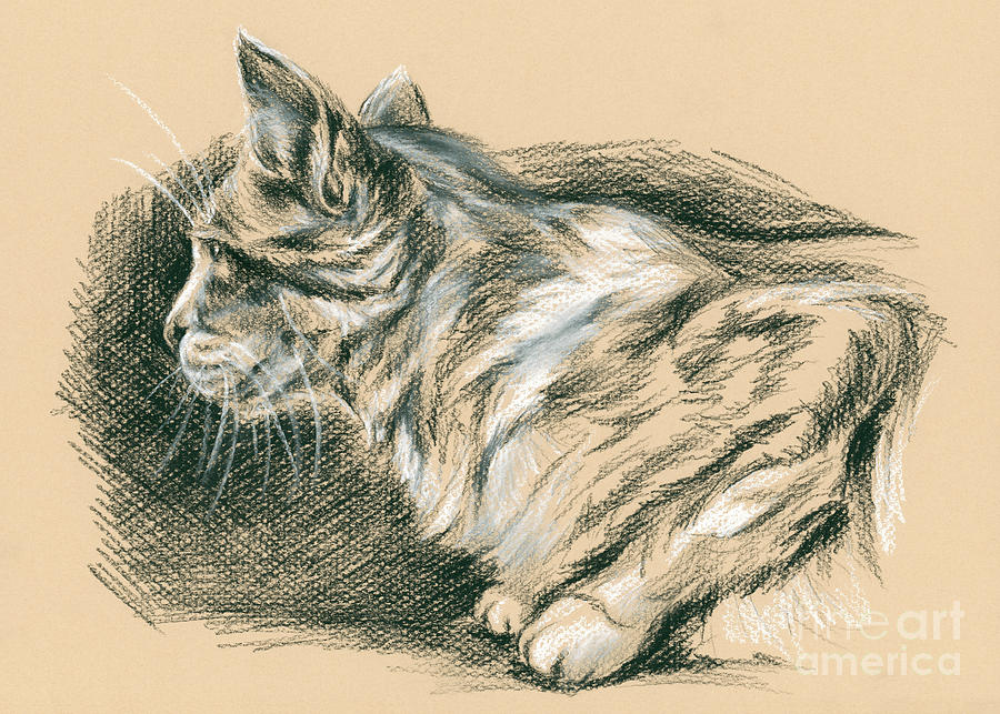 Crouching Tabby Drawing by MM Anderson