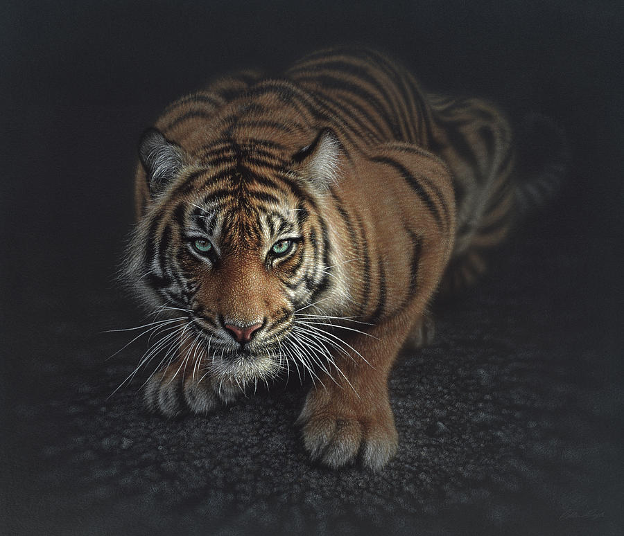 Crouching Tiger Painting by Collin Bogle