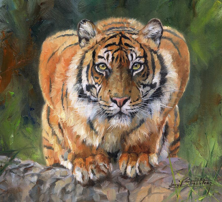 Tiger Painting - Crouching Tiger by David Stribbling