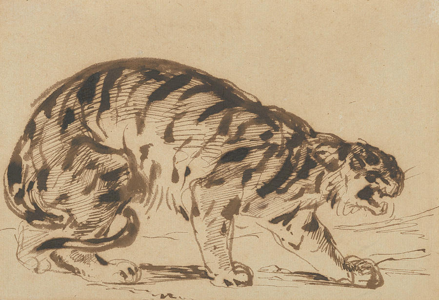 Crouching Tiger Drawing by Eugene Delacroix
