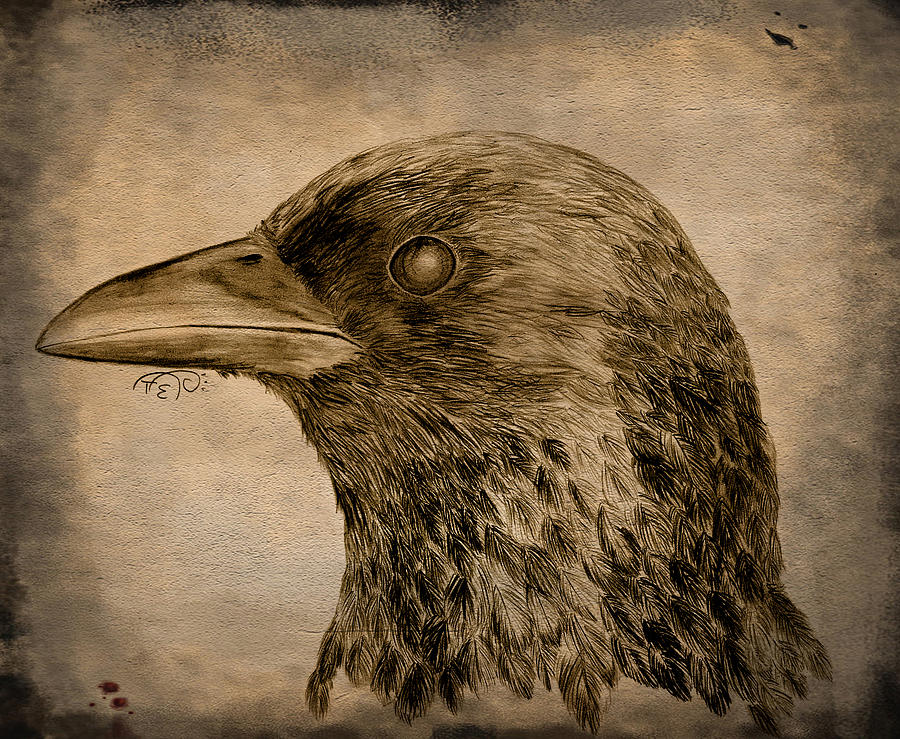 Crow Digital Art - Crow at Dawn by Tiphanie Erickson