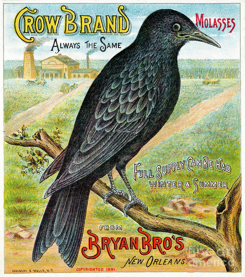 CROW BRAND MOLASSES ADVERTISEMENT - to license for professional use visit GRANGER.com Photograph by Granger