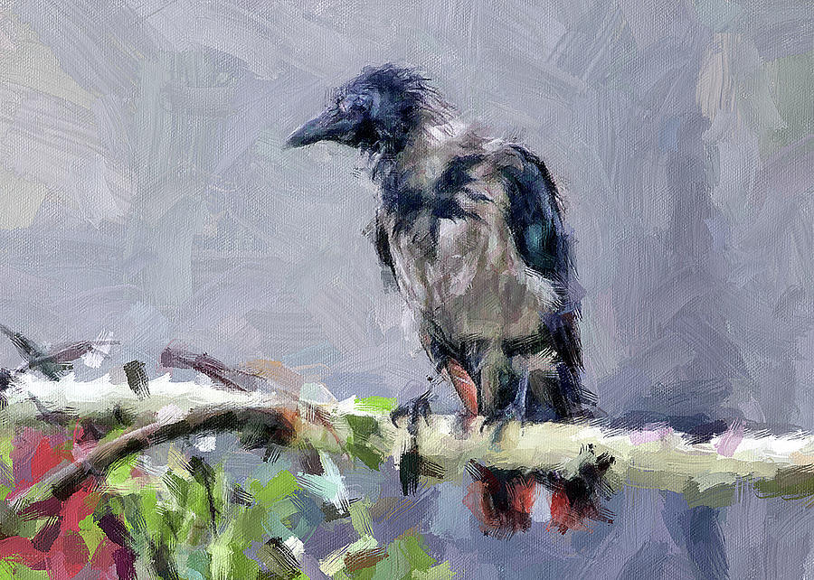 Crow impression Digital Art by Yury Malkov
