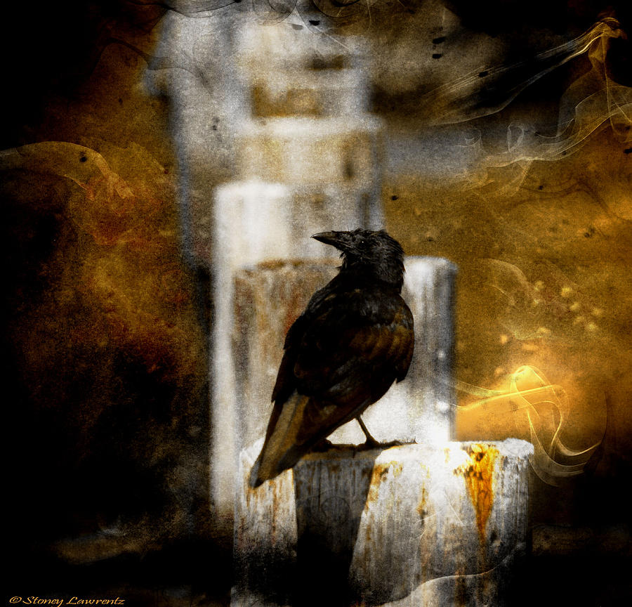 Crow in Shadows Photograph by Stoney Lawrentz