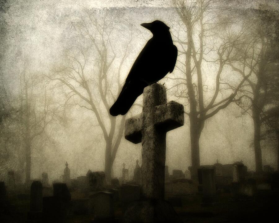 Crow In The Darkness Photograph by Gothicrow Images - Fine Art America