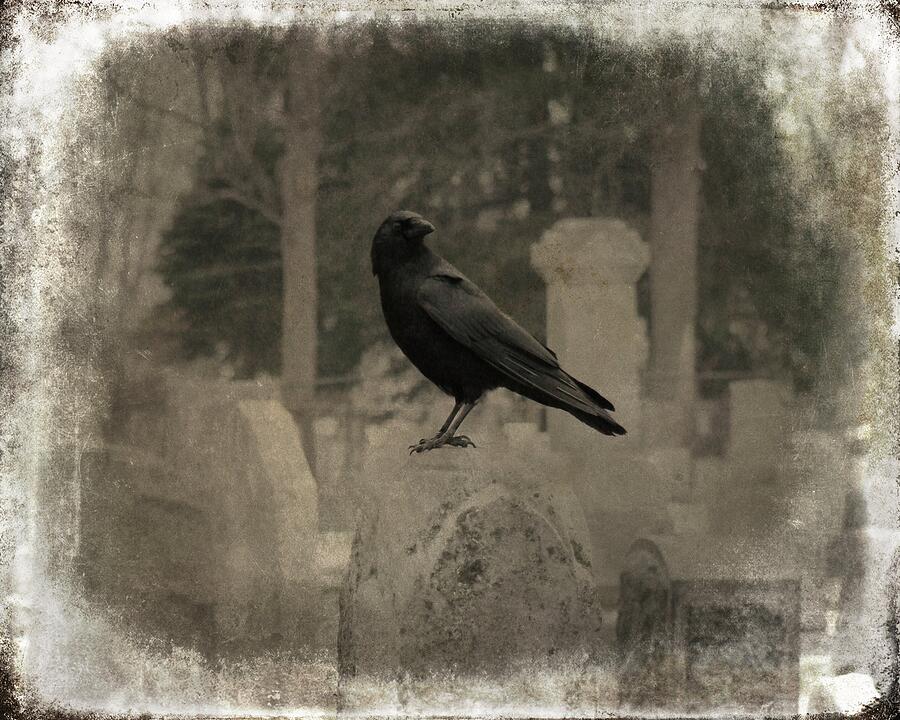 Crow In The Old Graveyard Mix Photograph by Gothicrow Images - Fine Art ...