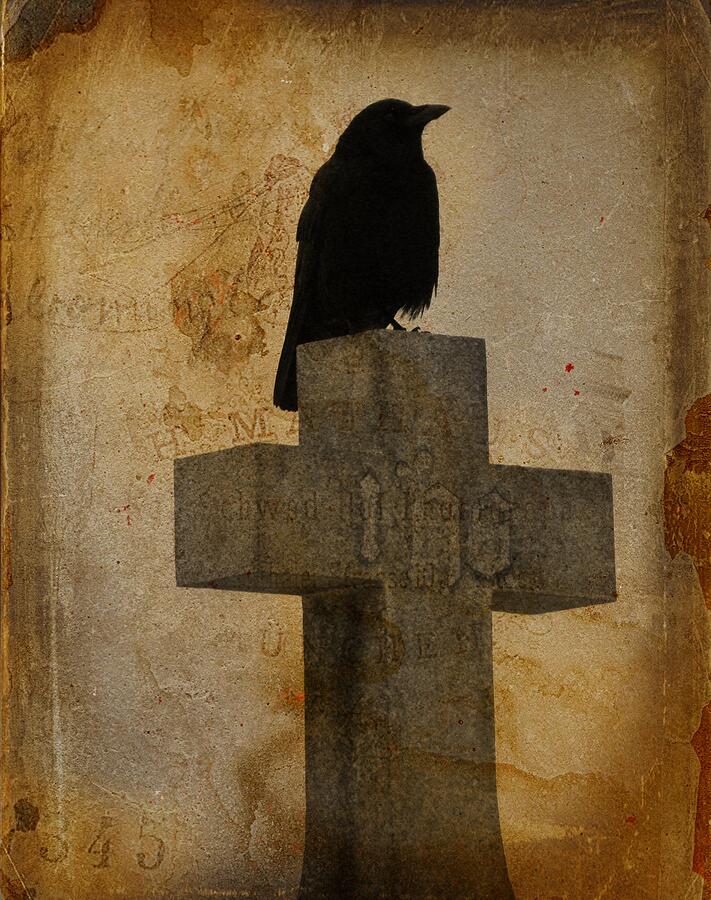 Crow On Cross In Vintage Photograph by Gothicrow Images