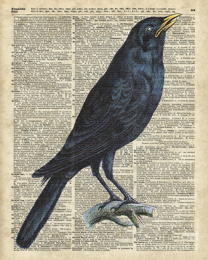 Crow Painting - Crow on dictionary book page by Anna W