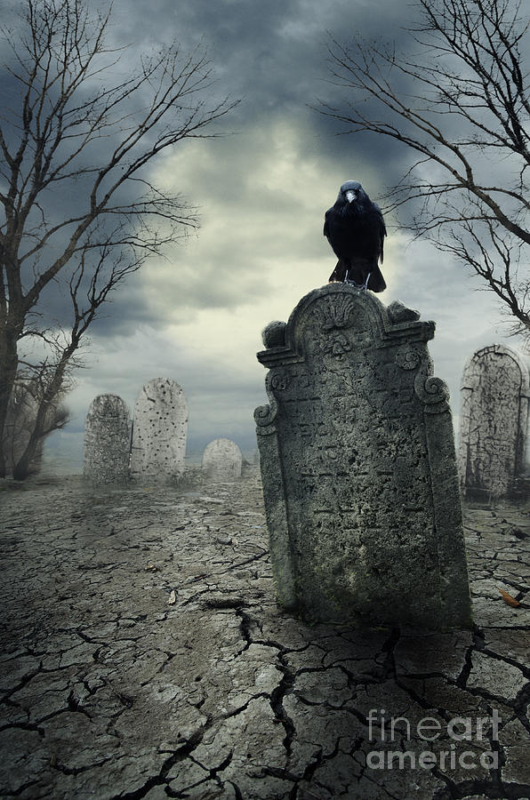 Crow On The Tombstone. Halloween Design. Digital Art